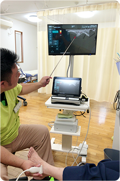 超音波観察の様子