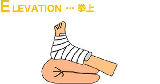 ELEVATION…拳上